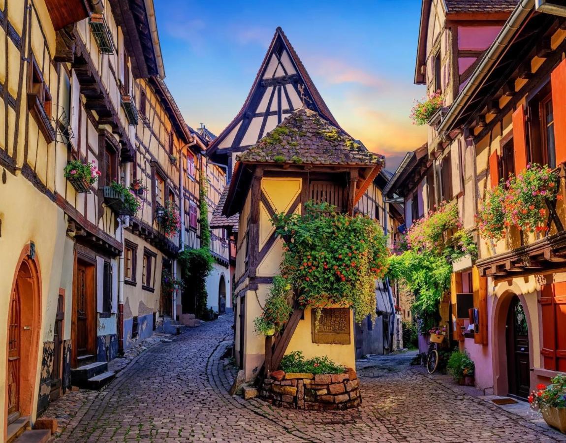 B&B Chez L'Habitant Chambre Privative Sur La Route Des Vins Tv Parking Box Velo Issenheim Luaran gambar